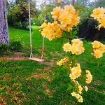 Sunshine Appartement