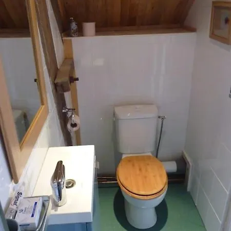 Sunshine Daire Berjou