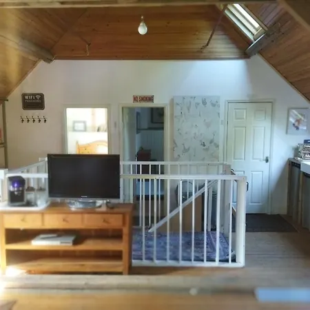 Daire Sunshine Berjou