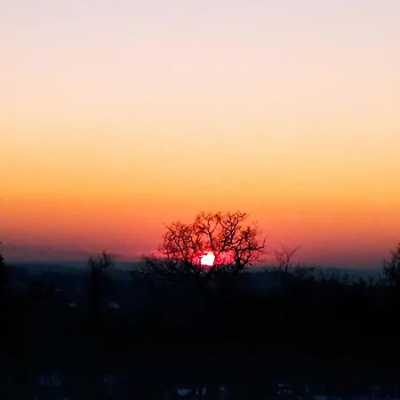 Sunshine